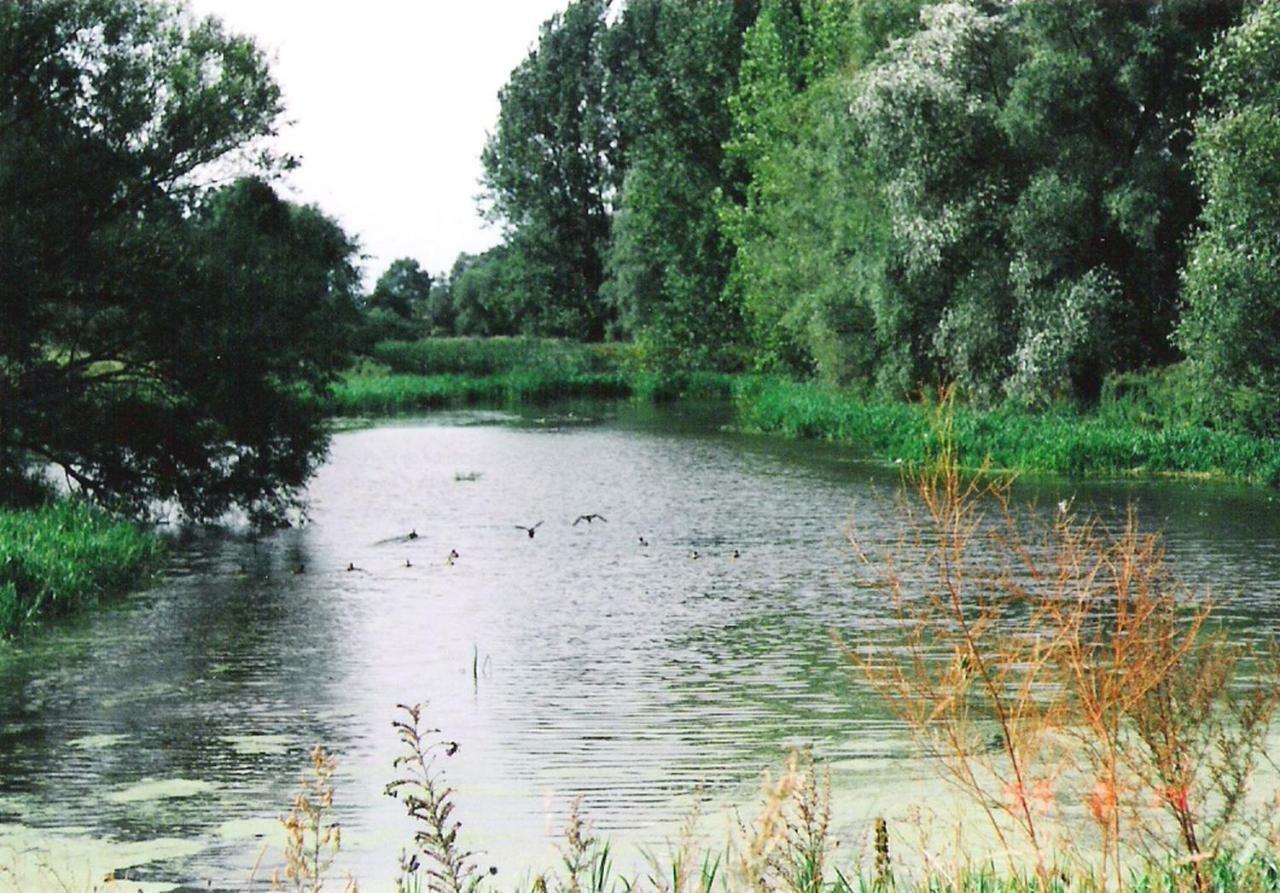 Gemütliche Ferienwohnungen in Friedland Ortsteil Cosa Exterior foto